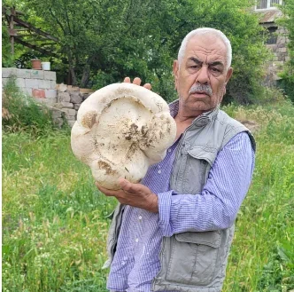 Kayseri’de 3 kilo 400 gram mantar buldu