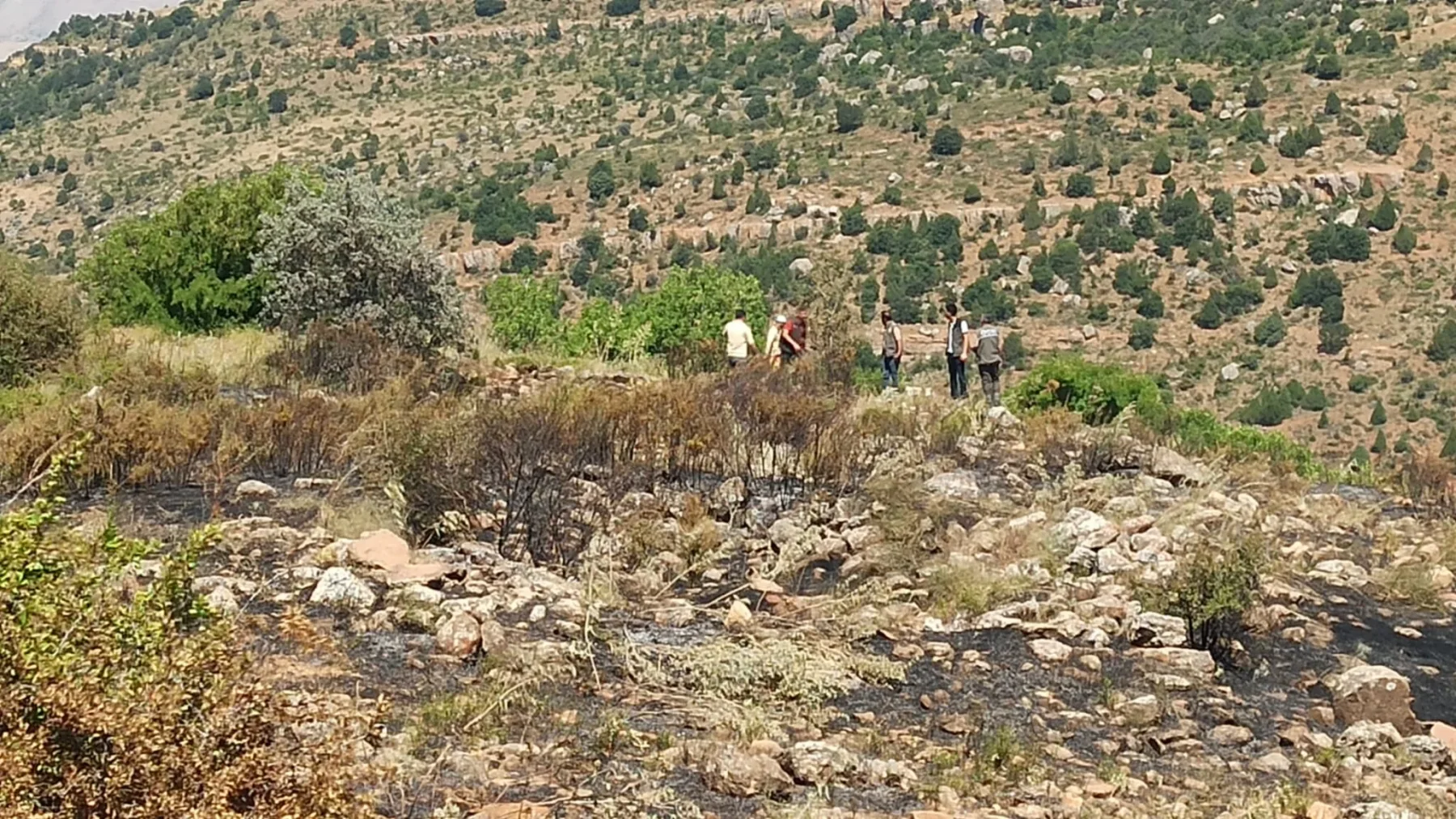 Yahyalı'daki yangın söndürüldü