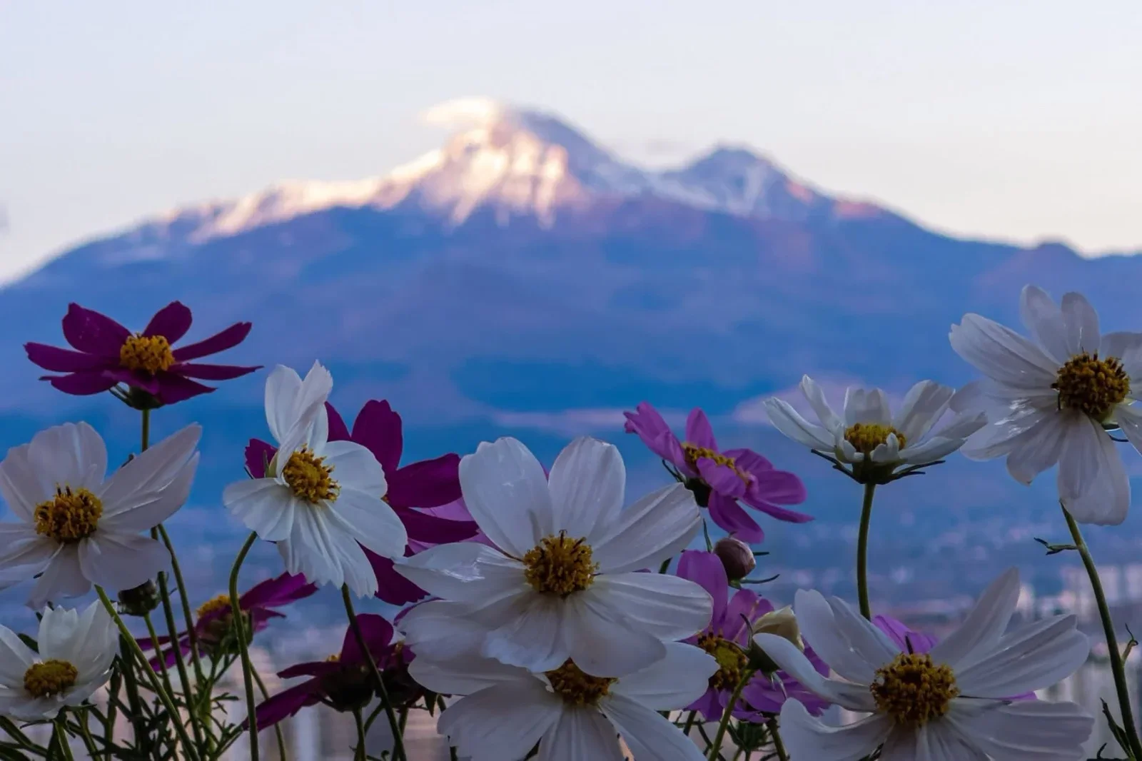 Erciyes’in zirvesine yağan kar doğal güzellik oluşturdu