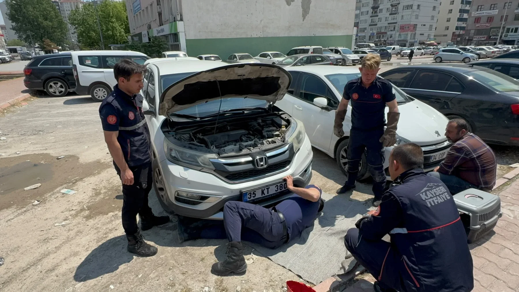 Otomobilin Motoruna Sıkışan Kedi İtfaiye Ekiplerince Kurtarıldı