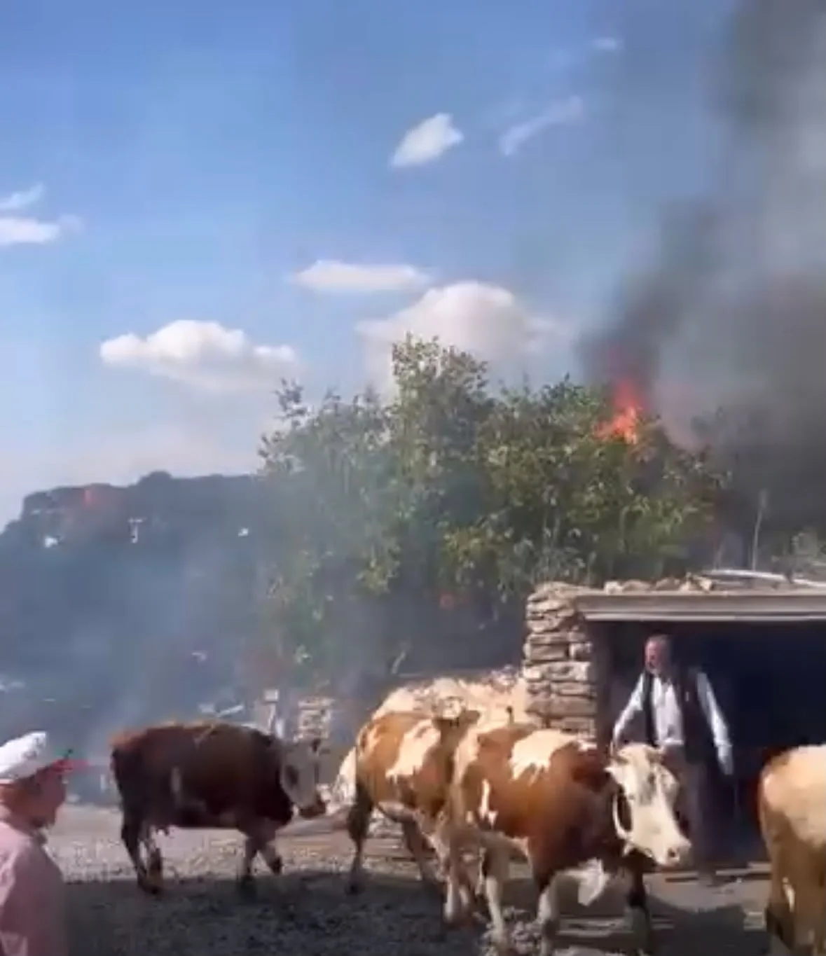Bünyan’da saman balyaları alevlere teslim oldu
