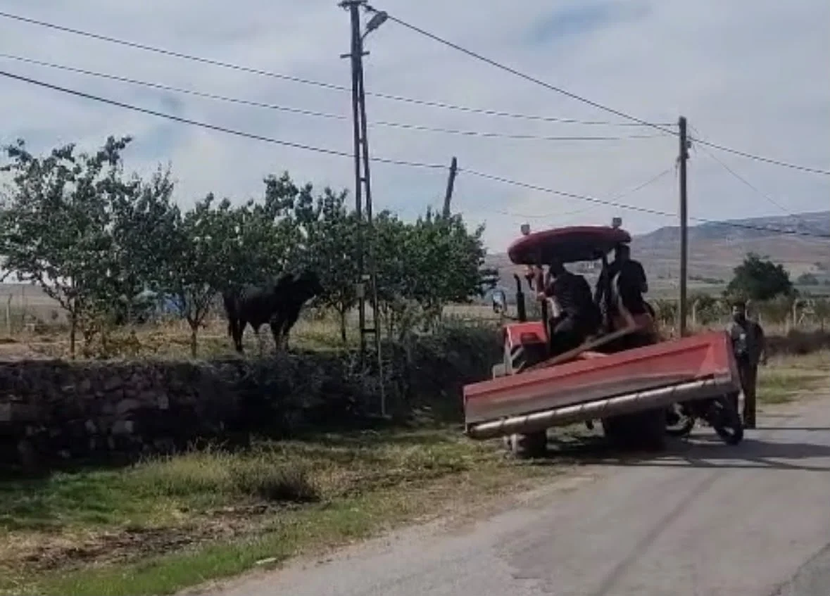 Kamyondan indirilirken kaçan büyükbaş hayvan saatler sonra yakalandı
