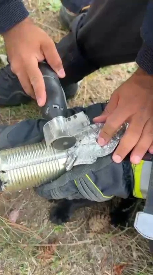 Kafası konserve kutusuna sıkışan kediyi, itfaiye kurtardı