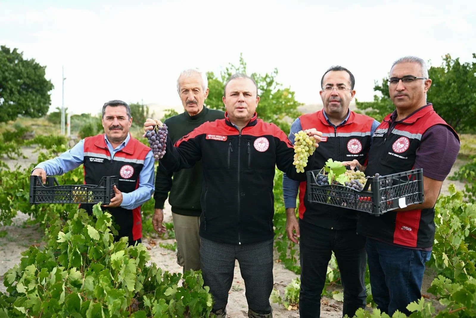 İncesu’da bağ bozumu yapıldı, aspir yağı üretimi incelendi
