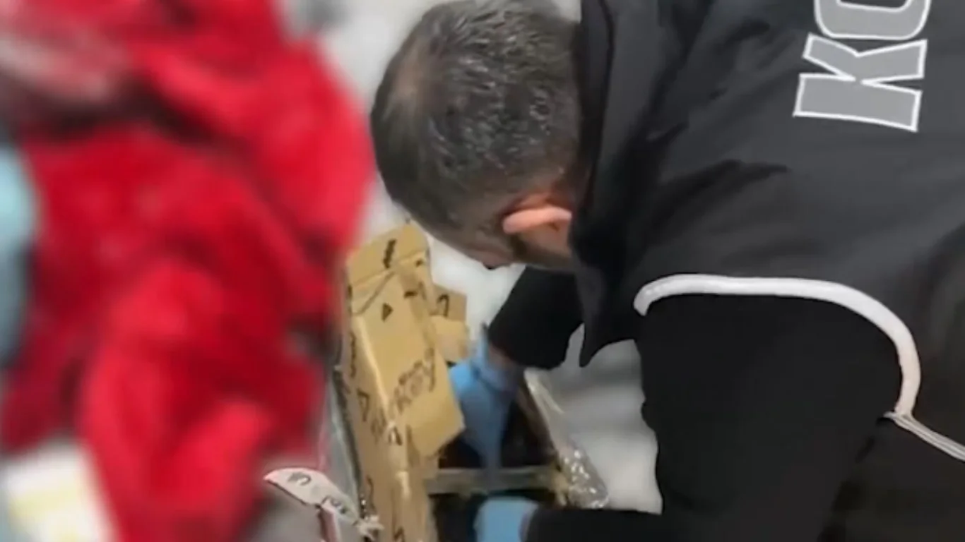 Kayseri dahil 58 ilde suç örgütlerine operasyon: 348 gözaltı