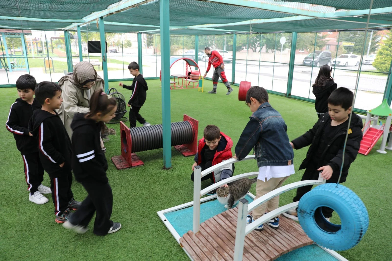 Kocasinan'ın Küçük Dostlar Kedi Kasabasına yoğun ilgi