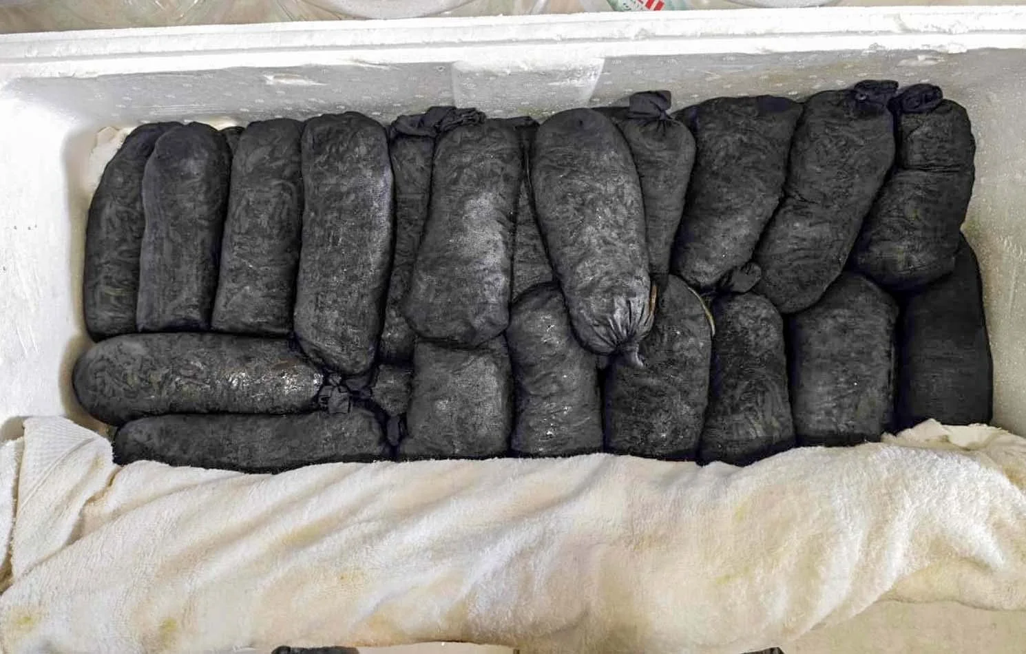 Erkilet Havalimanında 25 bin adet sülük yakalandı